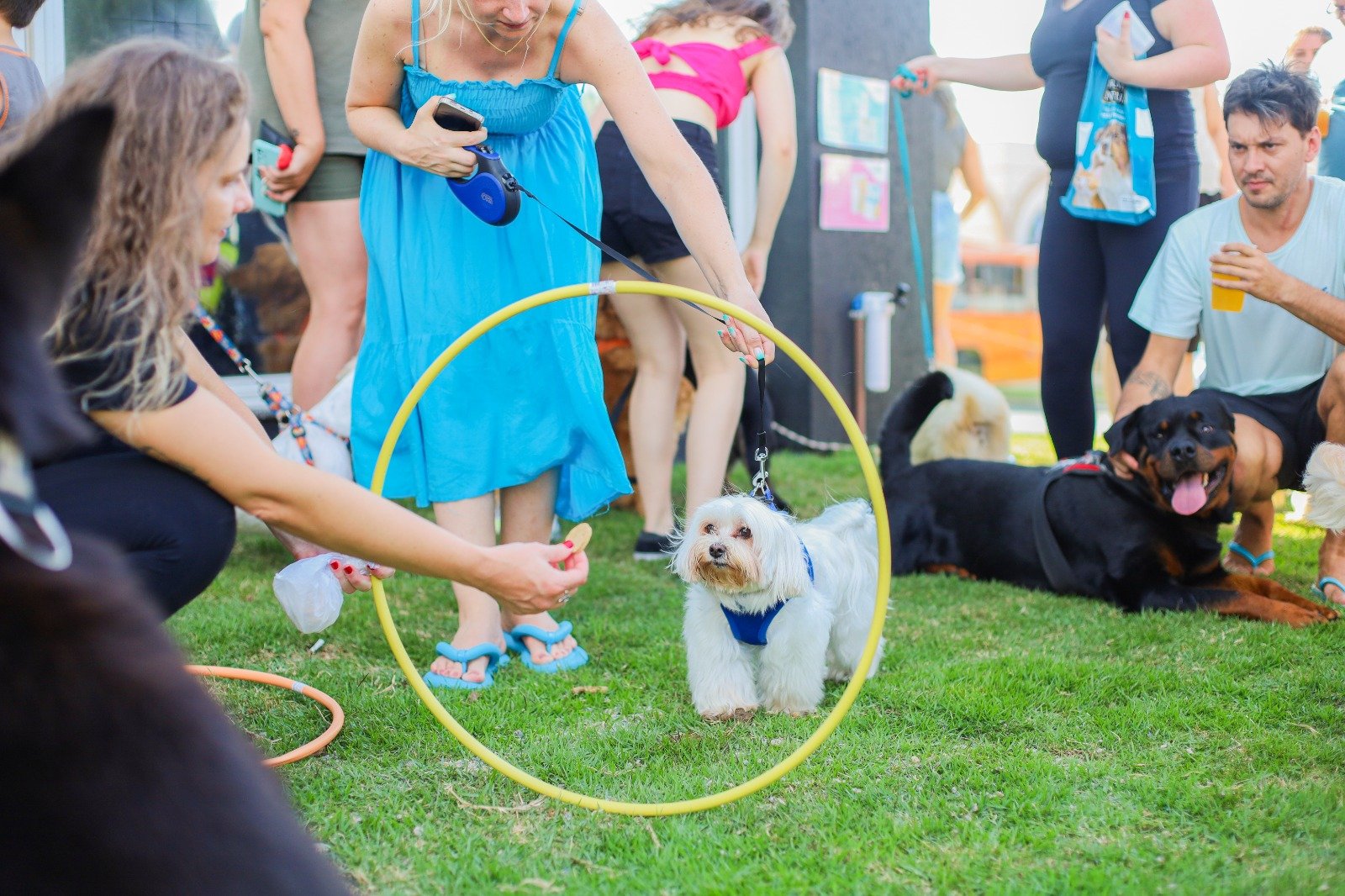 WhatsApp Image 2026-03-04 at 16.25.12 (1)