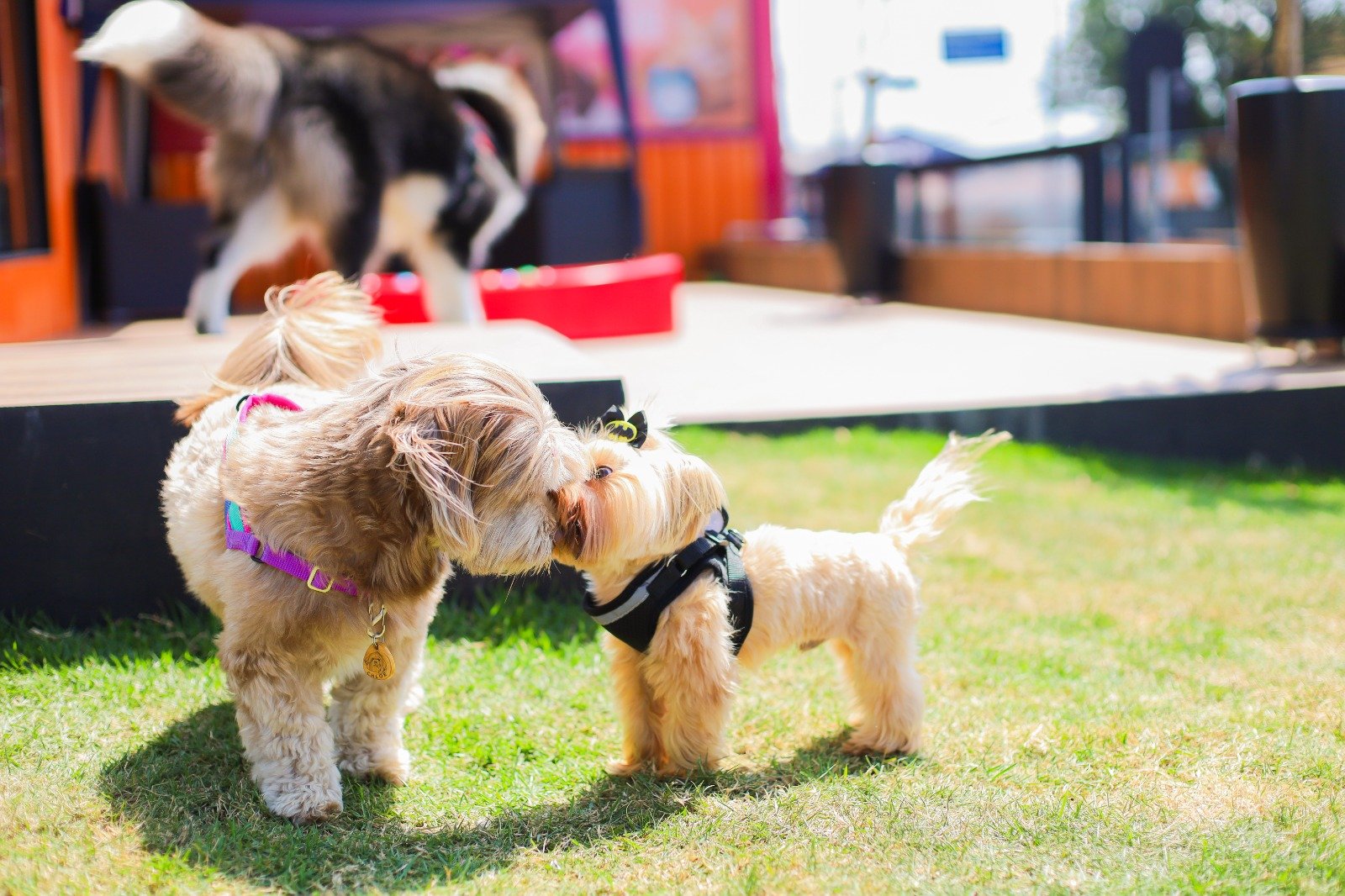 WhatsApp Image 2026-03-04 at 16.25.12 (2)