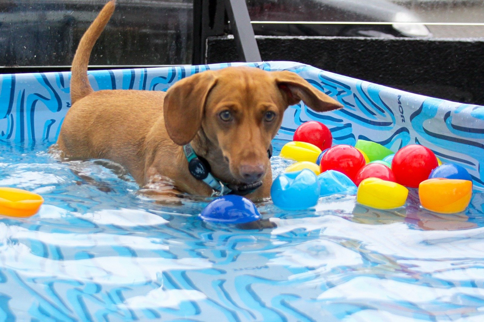 WhatsApp Image 2026-03-04 at 16.25.12 (3)