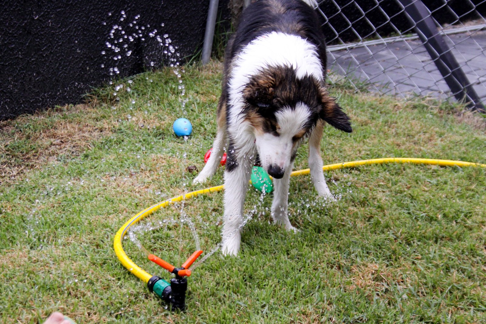 WhatsApp Image 2026-03-04 at 16.25.12 (4)