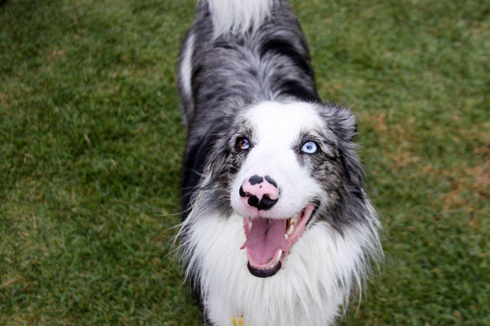 WhatsApp Image 2026-03-04 at 16.25.12 (6)