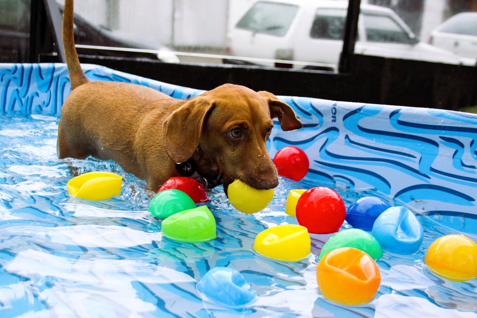 WhatsApp Image 2026-03-04 at 16.25.14