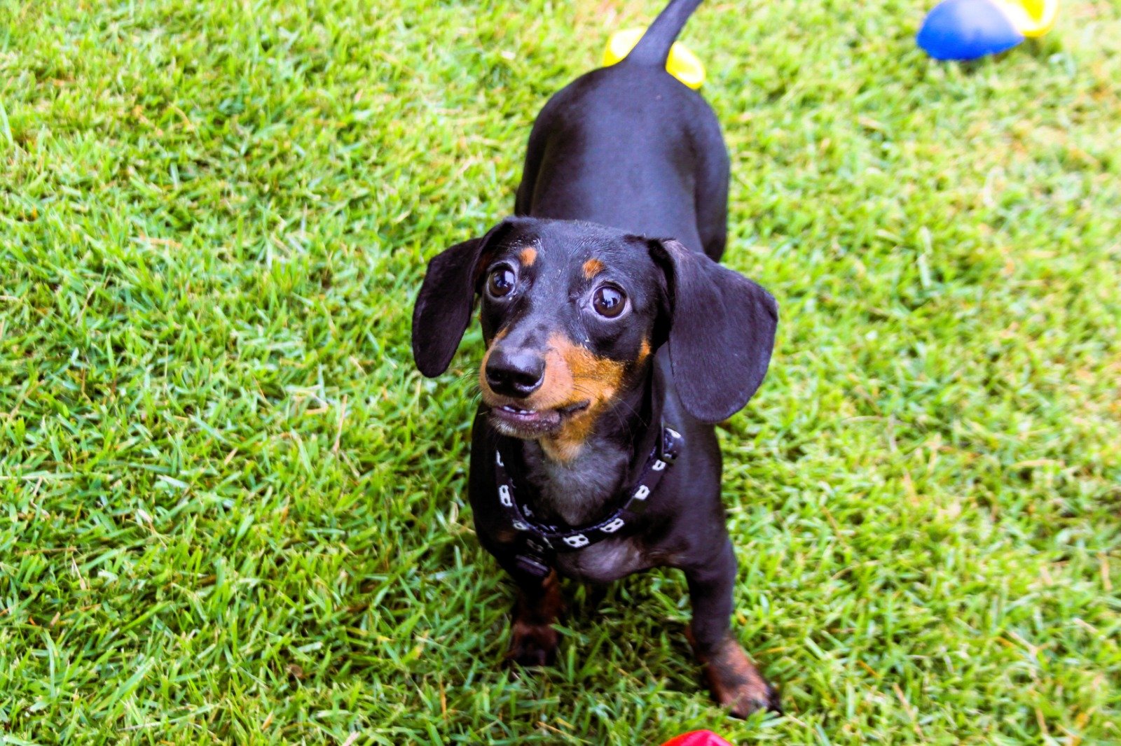 WhatsApp Image 2026-03-04 at 16.25.16 (1)