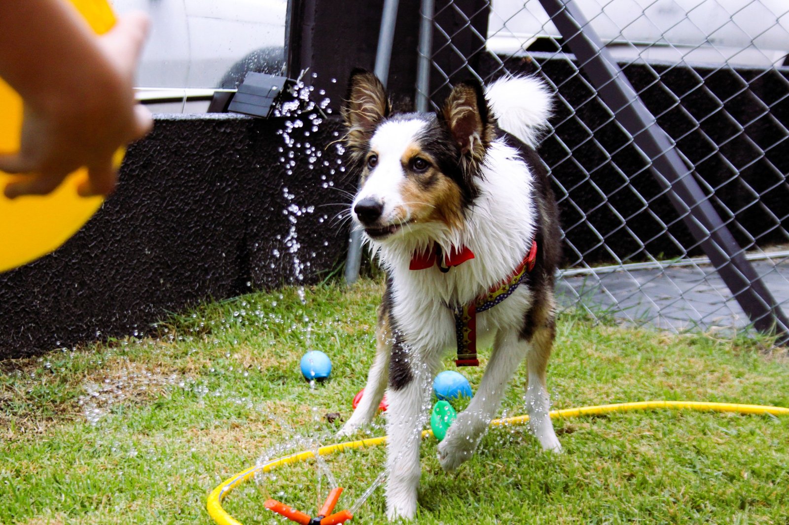 WhatsApp Image 2026-03-04 at 16.25.16