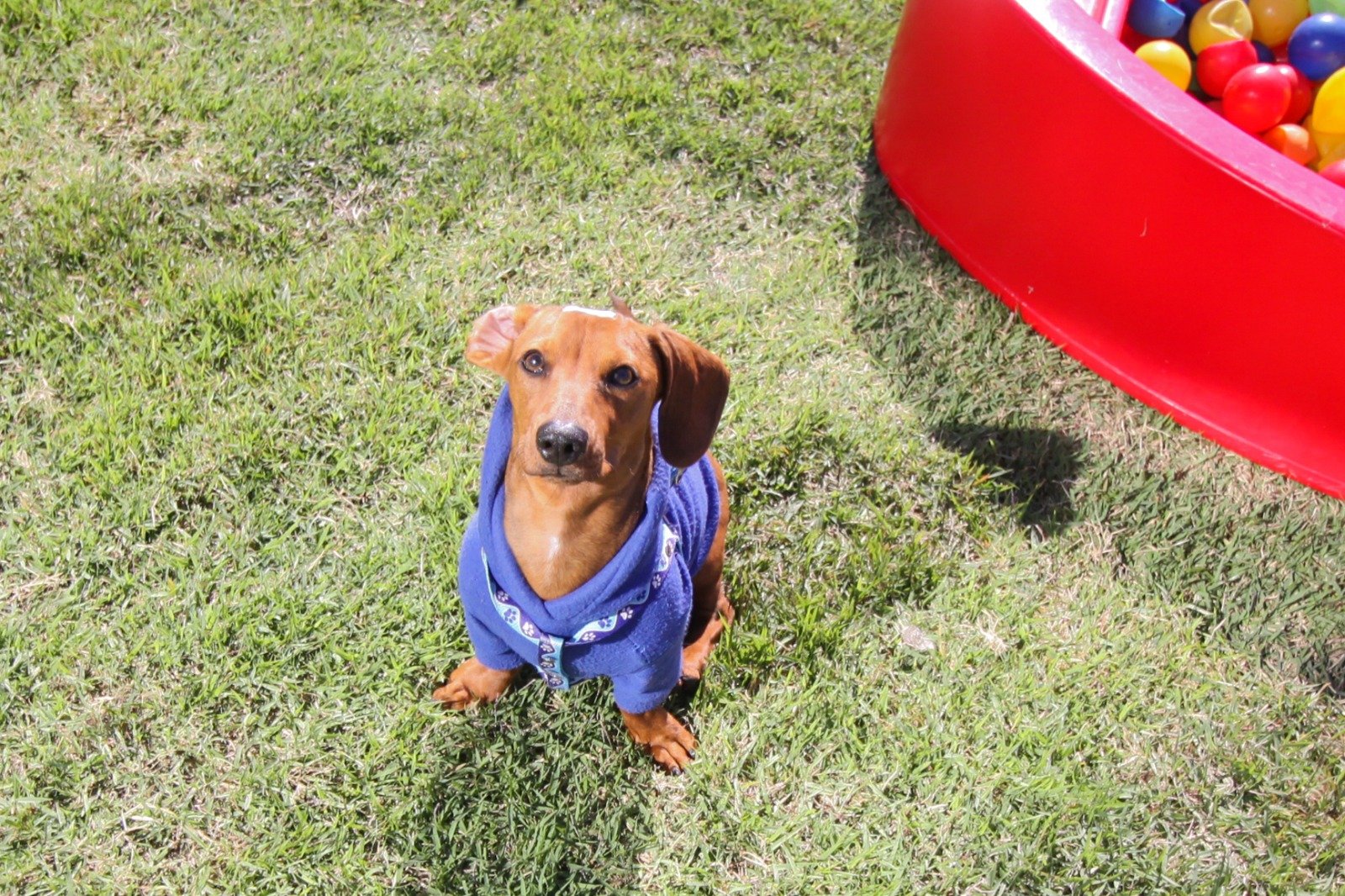 WhatsApp Image 2026-03-04 at 16.25.17 (4)