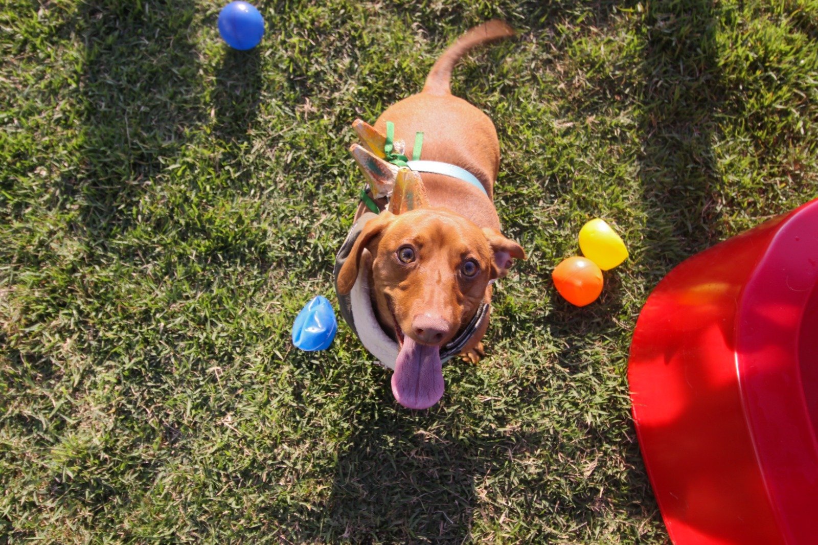 WhatsApp Image 2026-03-04 at 16.25.17 (6)